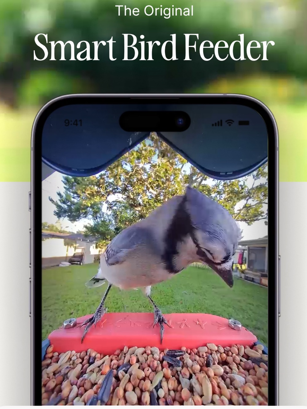 BirdBuddy Smart Bird Feeder